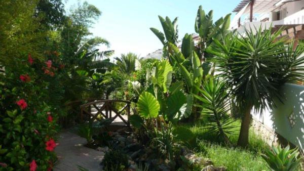 Almuñécar Marino Apartment מראה חיצוני תמונה